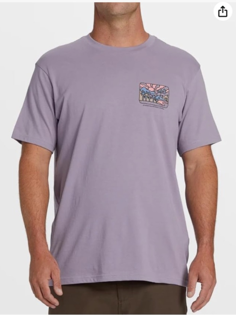 Men’s Billabong Shine tee in Purple Ash, M